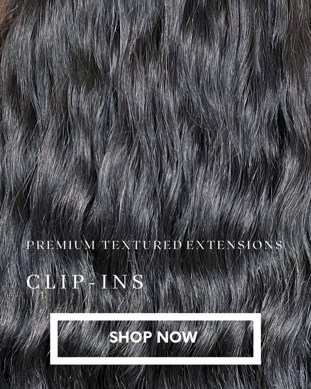 CLIP INS